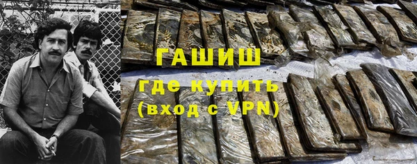 PSILOCYBIN Алзамай