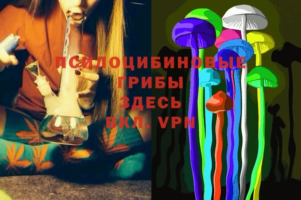 индика Алексеевка