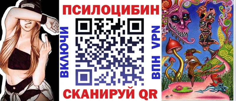 Псилоцибиновые грибы Psilocybine cubensis  как найти закладки  Зея 