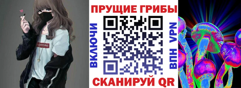 Псилоцибиновые грибы Psilocybine cubensis Зея